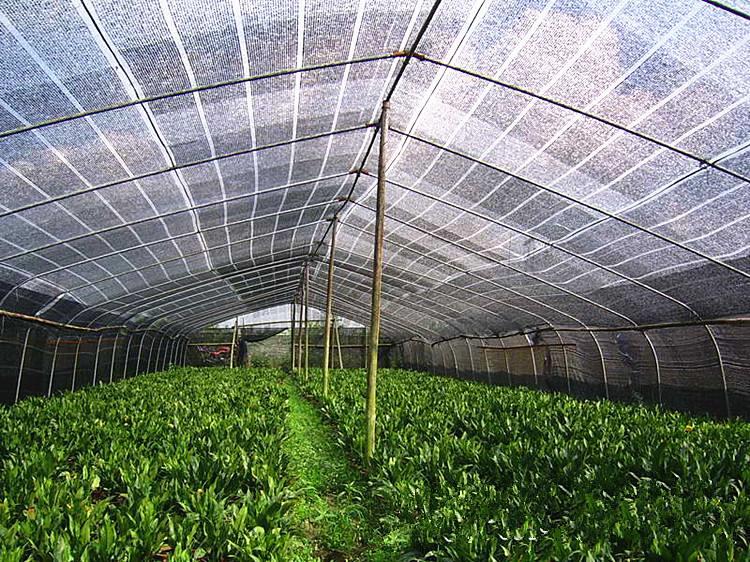 umbra net shading net